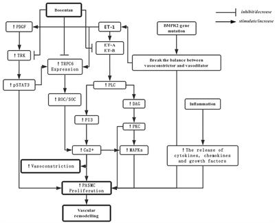 Bosentan for Treatment of Pediatric Idiopathic Pulmonary Arterial Hypertension: State-of-the-Art